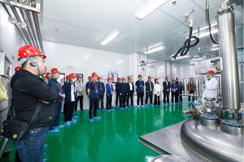 連續賦能，技術變現 連續流技術推廣現場會在敦化圓滿召開